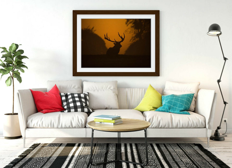 STAG SILHOUETTE SUNSET -WALL ART FRAMED POSTER PICTURE PRINT- ANIMAL PHOTOGRAPHY