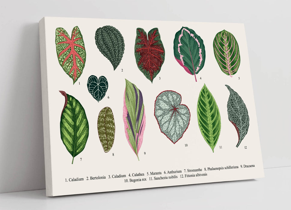Plant Leaf Canvas Art – Handmade UK Botanical Wall Decor With Premium Varnish Finish