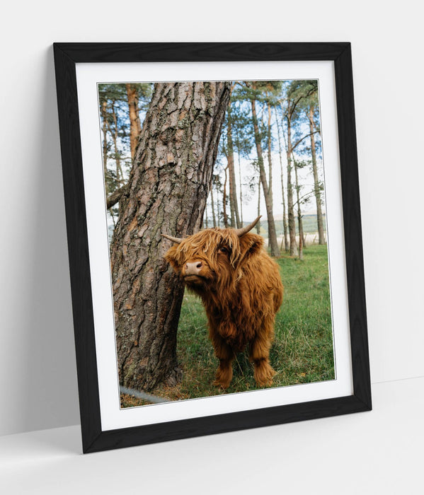 Highland Cow Wall Art – Framed Rustic Farmhouse Decor Poster Print UK Handmade