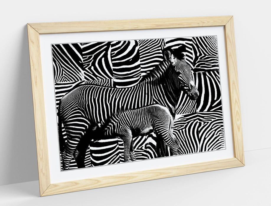 Zebra Stripe Wall Art – Handmade Framed Animal Print With Woodgrain Frame