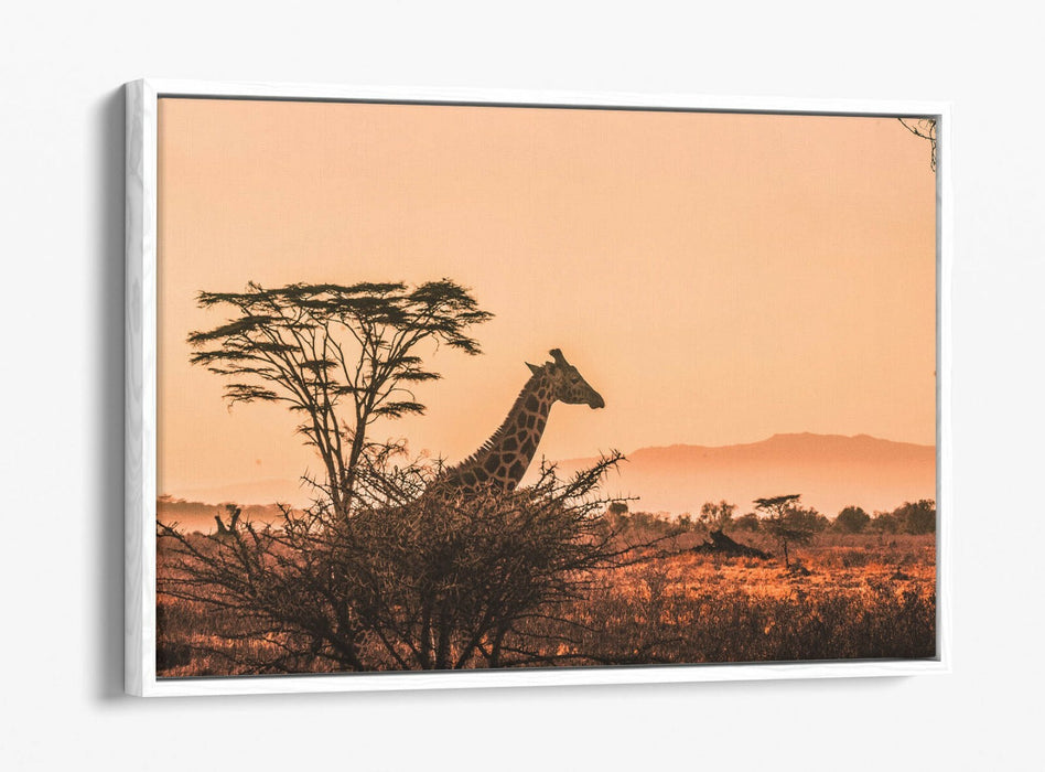 GIRAFFE IN THE CLOUDS -FLOAT EFFECT CANVAS WALL ART PIC PRINT- ANIMAL PHOTOGRAPH