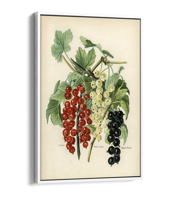 Canvas Art Print - Vintage Black Naples Float Effect Handmade Wall Art UK