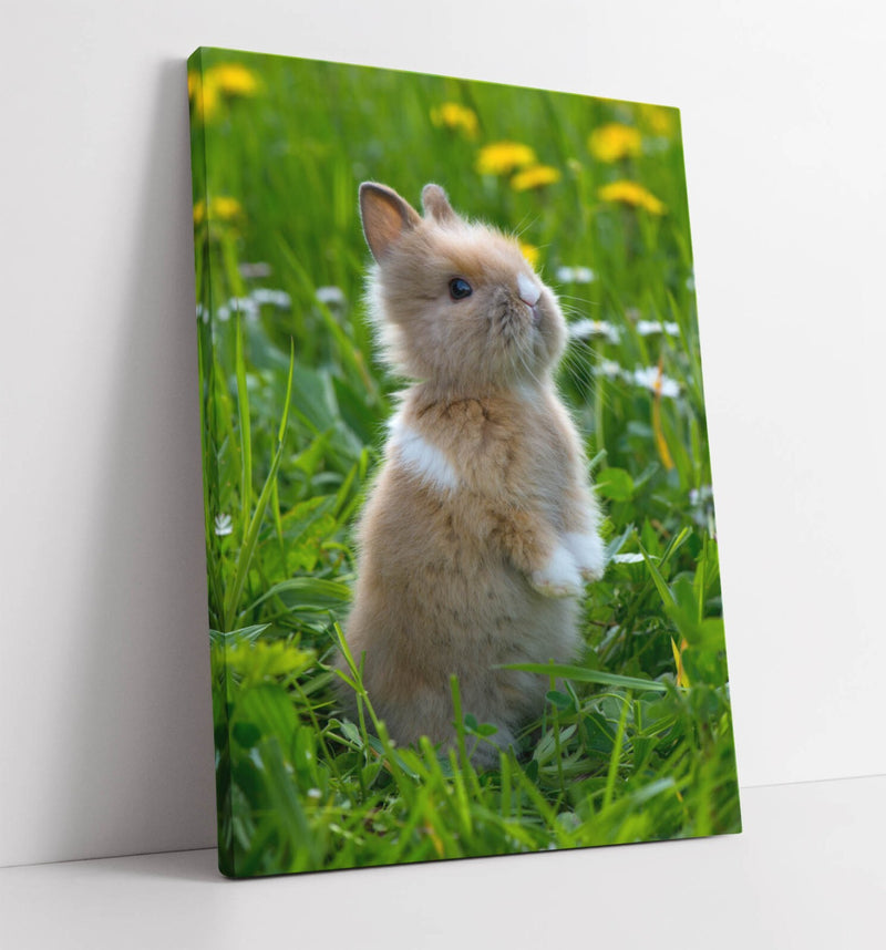 Bunny Canvas Art – Cute Rabbit Wall Decor | Handmade Canvas Print UK