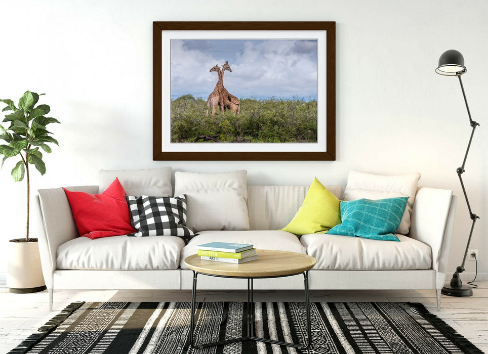 GIRAFFES IN LOVE -ART FRAMED POSTER PICTURE PRINT- WILDLIFE PHOTOGRAPHY