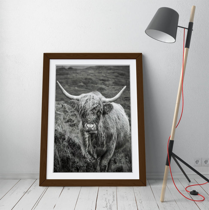 Highland Cow Wall Art – Black and White Poster with Natural Wood Frame | UK Handmade