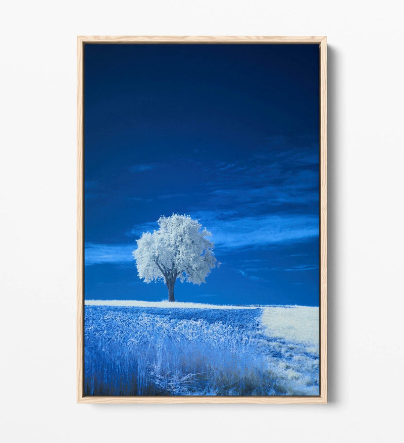 Canvas Wall Art – Abstract White Tree Painting in Blue Landscape | Float Effect Canvas Print