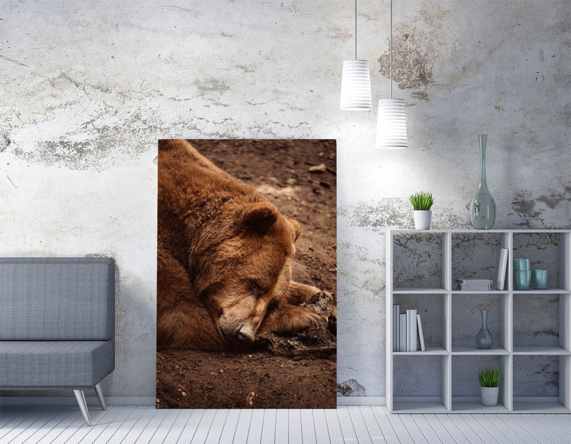 Brown Bear Canvas Art – Premium Wildlife Canvas Print With Satin Varnish Finish