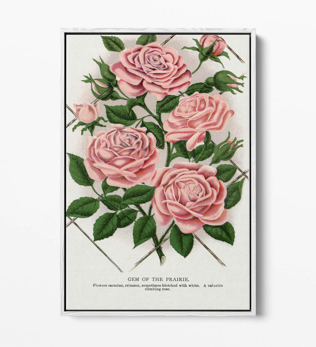 Float Effect Canvas Art – Pink Rose Prairie Lithograph Print | Handmade UK Wall Decor