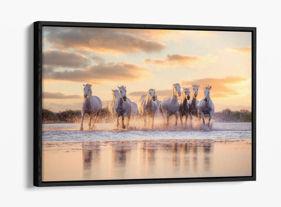 Canvas Wall Art - Wild White Horses Running On Water | Float Effect Canvas Print