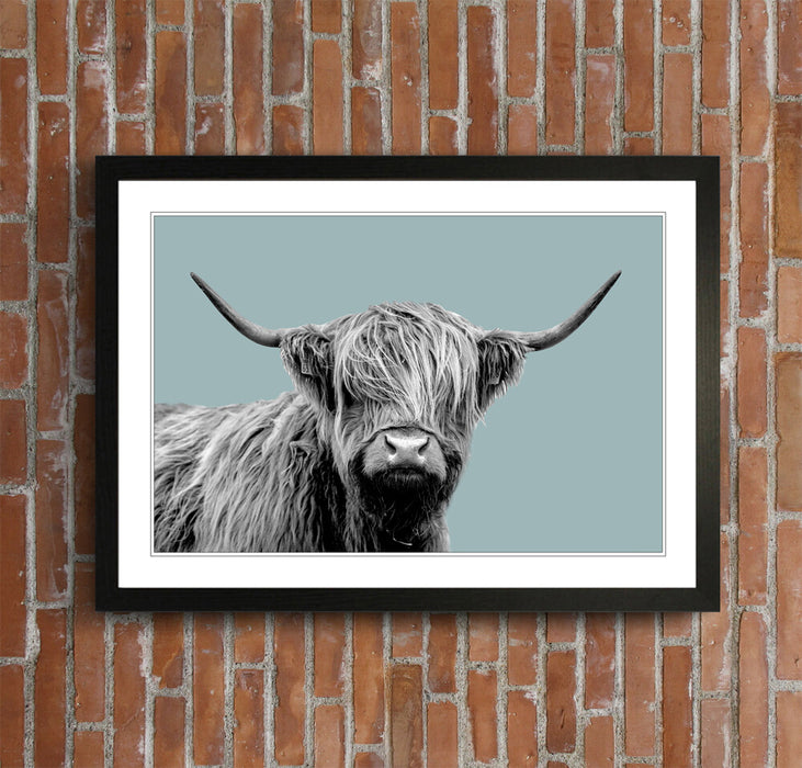 HIGHLAND COW BLACK AND WHITE DUCK EGG BLUE FRAMED POSTER WALL ART PRINT