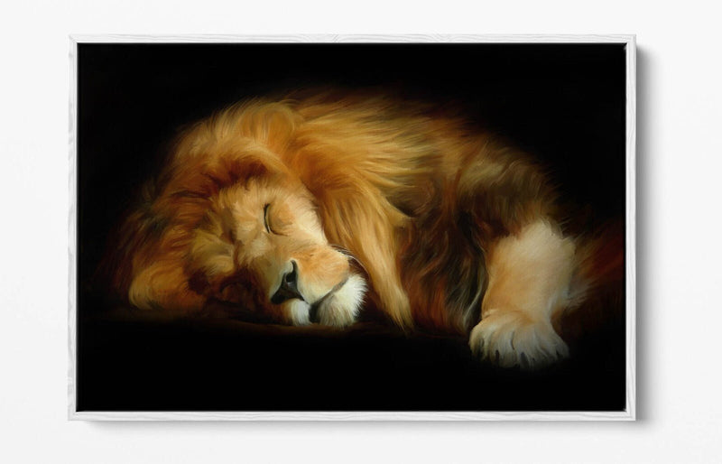 Canvas Wall Art - Sleeping Lion Handmade Float Effect Canvas Print | Premium Frame