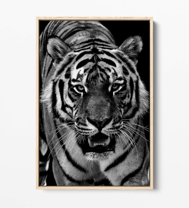 TIGER BLACK AND WHITE -FLOAT EFFECT CANVAS WALL ART PIC PRINT-