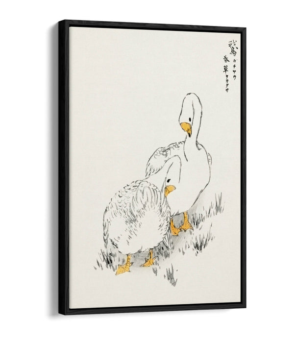 Canvas Wall Art Print – Duck And Young Grass On Float Effect Canvas Frame