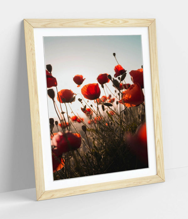 RED POPPIES FLOWER FIELD -FRAMED WALL ART PICTURE PRINT- PHOTOGRAPHY