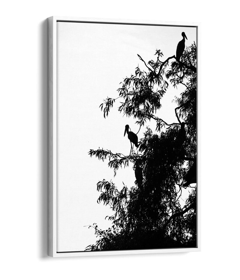 Canvas Wall Art – Bird Silhouette on Tree | Handmade Float Effect Frame, Premium Varnish Finish