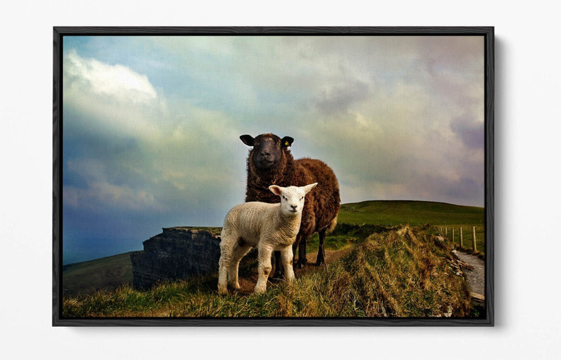 Canvas Wall Art - Irish Sheep Mountain Landscape | Handmade Float Effect Frame