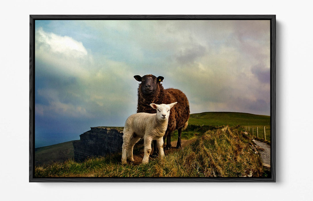 2 IRISH SHEEP MOUNTAIN LANDSCAPE HOME DECOR -FLOAT EFFECT CANVAS WALL ART PRINT