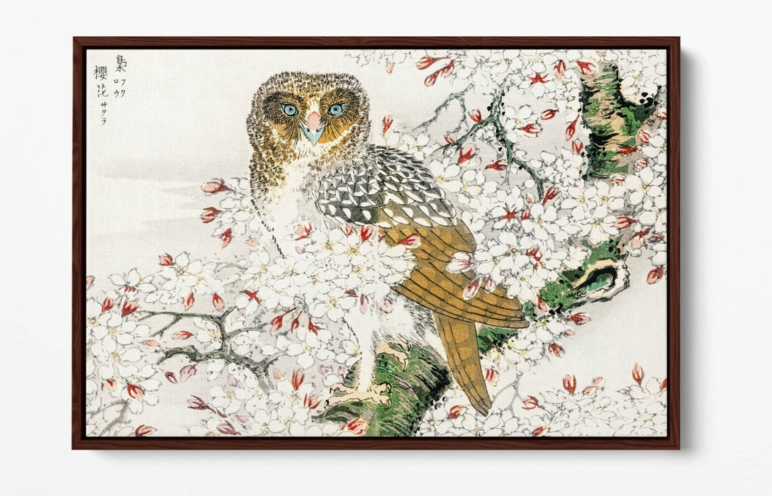 Canvas Wall Art Print – Numata Kashu Owl & Cherry Blossom Float Effect