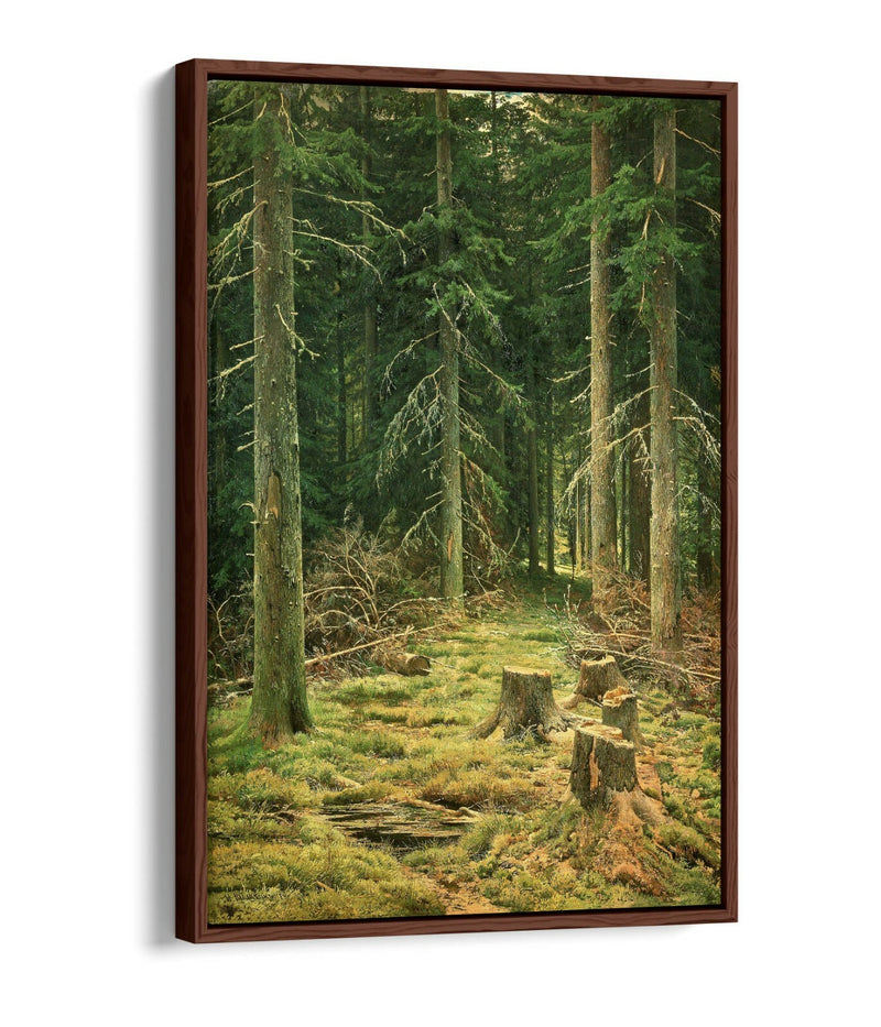 Canvas Wall Art - Ivan Shishkin Coniferous Forest Float Effect Canvas Print