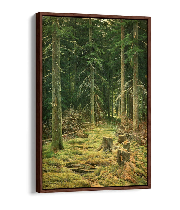 IVAN SHISHKIN, CONIFEROUS FOREST -FLOAT EFFECT CANVAS WALL ART PRINT ARTWORK