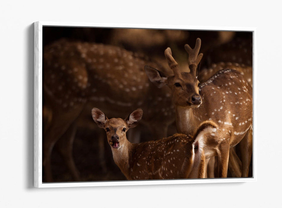 Canvas Wall Art - Deer Standing Together Float Effect Premium Bedroom Decor
