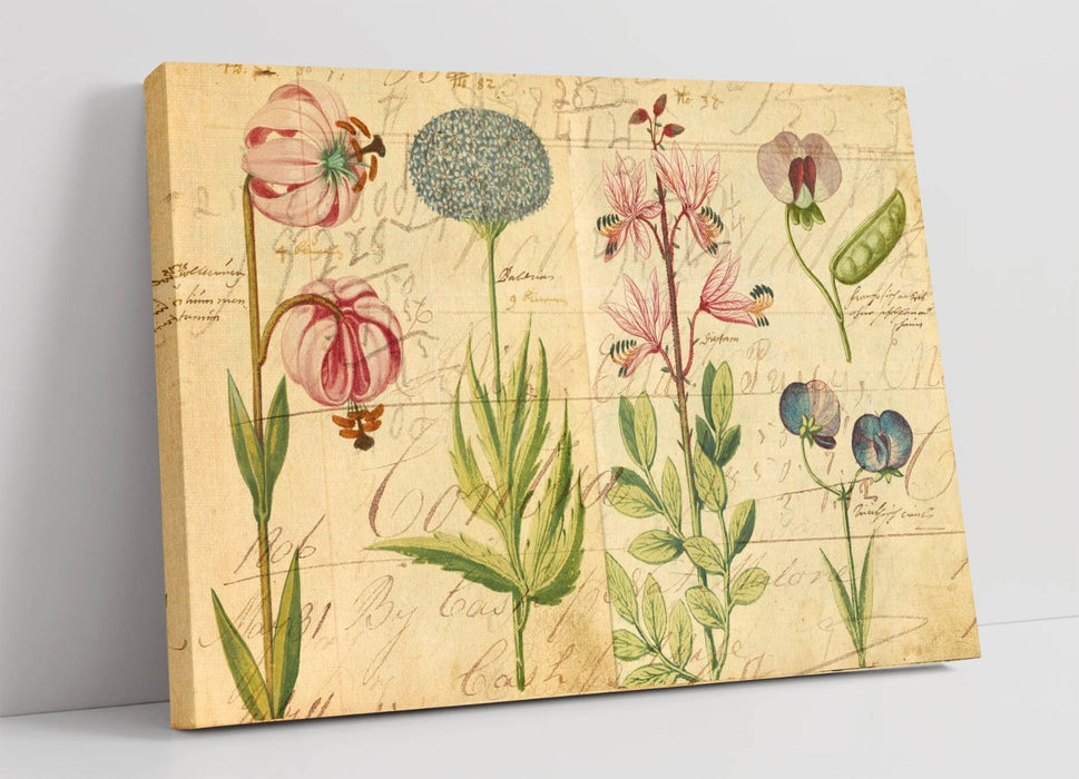 Botanical Canvas Art - Vintage Flower Print on Archival Grade Canvas with Satin Varnish