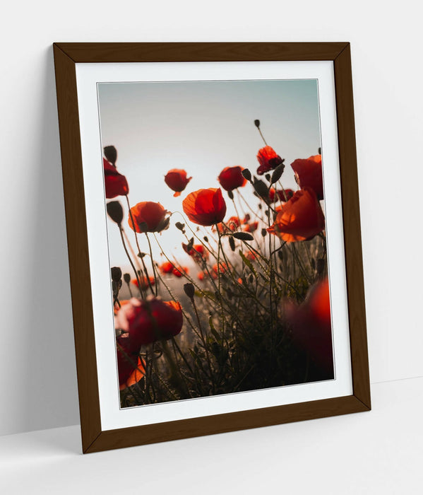 RED POPPIES FLOWER FIELD -FRAMED WALL ART PICTURE PRINT- PHOTOGRAPHY