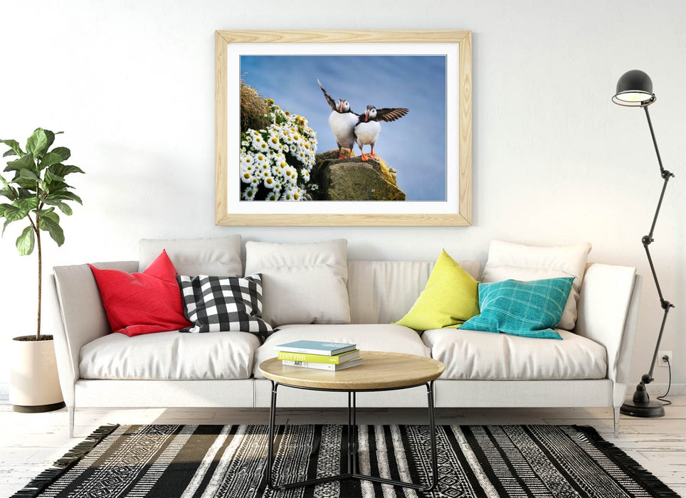 Framed Wall Art - Puffin Art Print on Cliff Edge | Bedroom Wall Decor, UK Handmade Frames