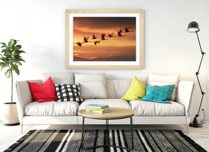 Framed Wall Art - Beautiful Bird Wall Decor With Orange Sky Poster Print