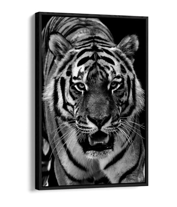 TIGER BLACK AND WHITE -FLOAT EFFECT CANVAS WALL ART PIC PRINT-