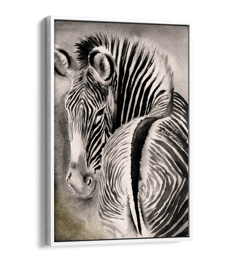 Zebra Canvas Art – Watercolor Wall Decor With Float Effect Frame, Ready To Hang