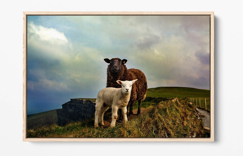 Canvas Wall Art - Irish Sheep Mountain Landscape | Handmade Float Effect Frame