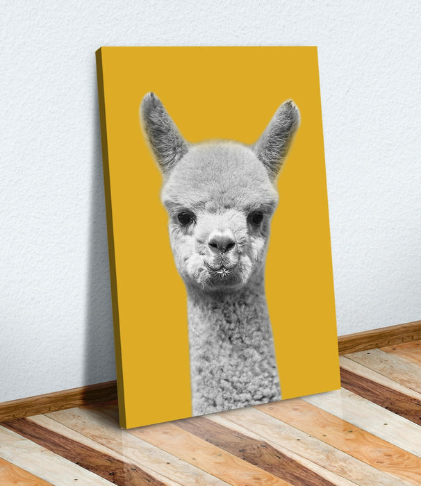 Canvas Wall Art – Happy Baby Alpaca Black White Mustard Yellow Print