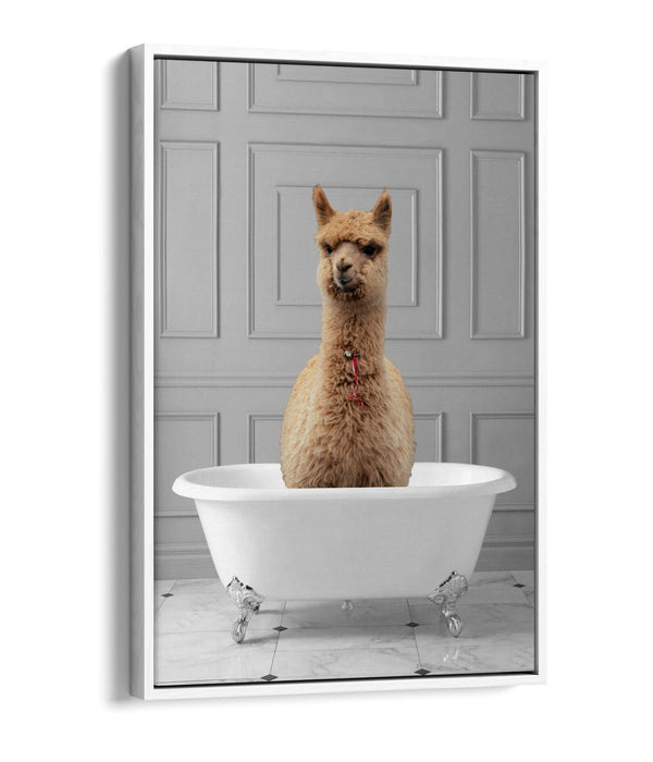 LLAMA IN BATHTUB -QUIRKY BATHROOM FLOAT EFFECT CANVAS WALL ART PIC PRINT