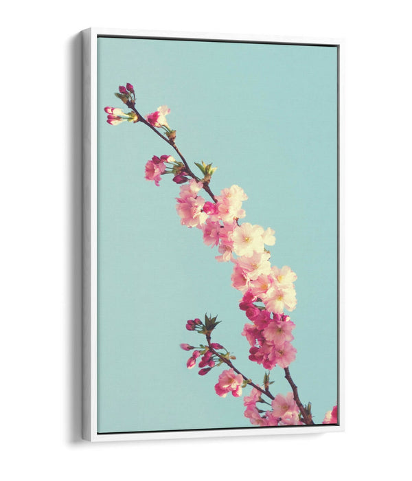 CHERRY BLOSSOM TEAL -FLOAT EFFECT CANVAS WALL ART PIC PRINT- CYAN