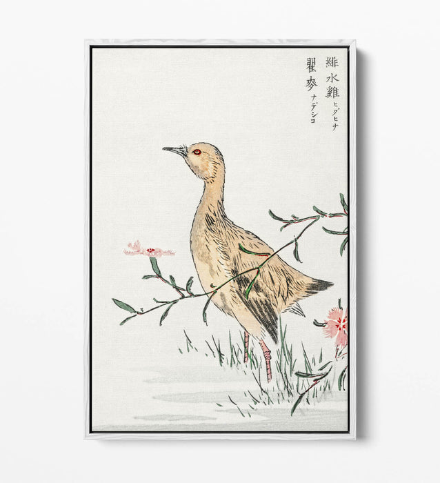 Float Effect Canvas Art – Eastern Redshank & Pink Flower | Premium Wall Decor