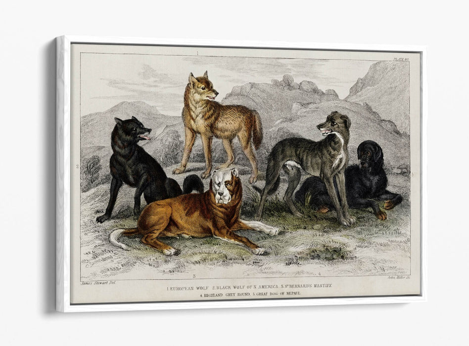 Canvas Wall Art Print | Premium Canvas Frame, Vibrant Wall Decor Dog Design