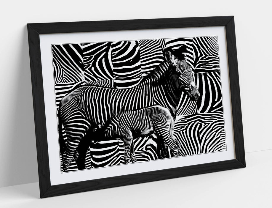 Zebra Stripe Wall Art – Handmade Framed Animal Print With Woodgrain Frame