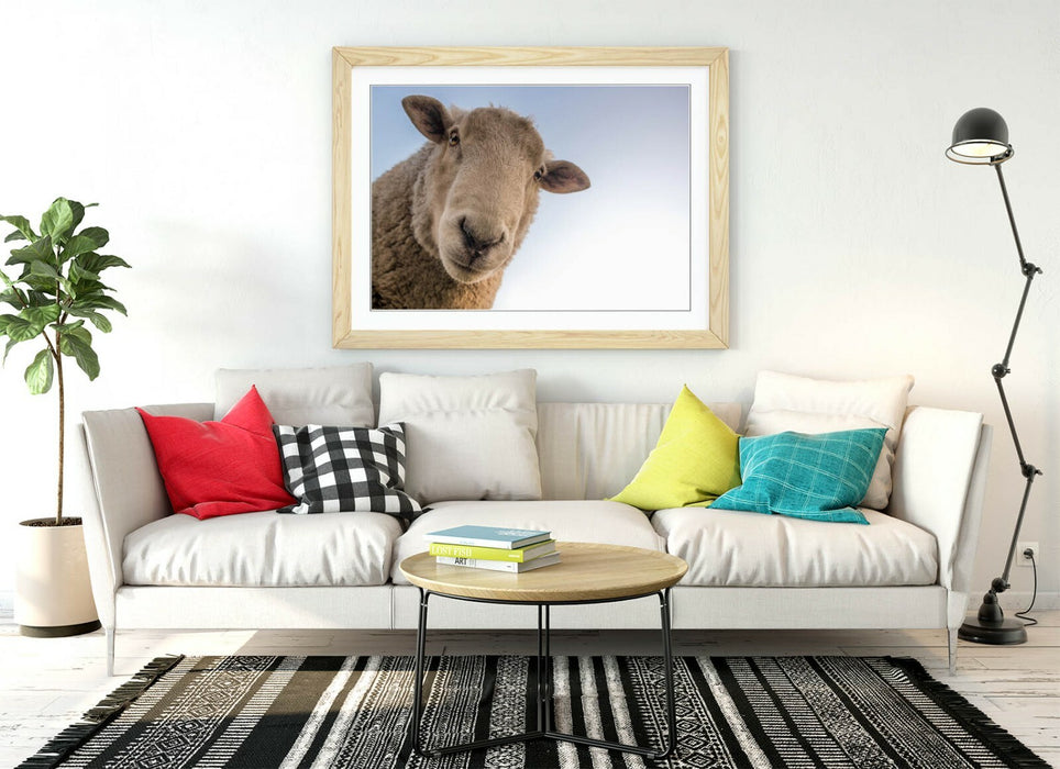 CURIOUS SHEEP -ART FRAMED POSTER PICTURE PRINT ARTWORK- BEIGE WHITE