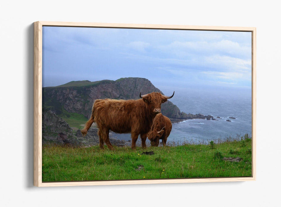 Canvas Wall Art - Highland Cows Coastal Landscape Print | Float Effect, Handmade