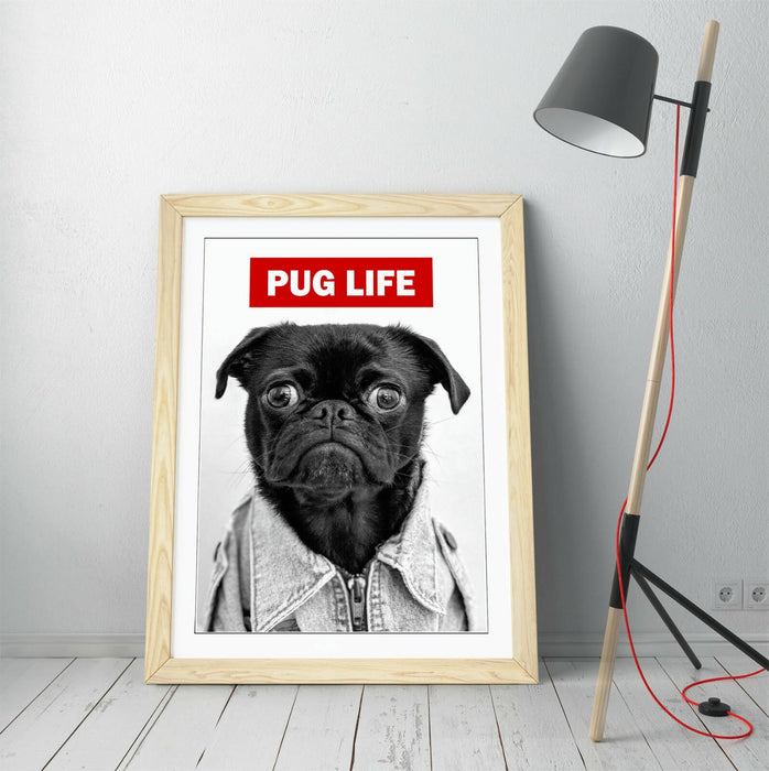 PUG LIFE -FRAMED POSTER WALL ART PRINT ARTWORK- BLACK & WHITE