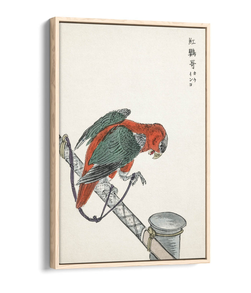 Canvas Wall Art - Macaw Float Effect Canvas Art Print | Handmade UK