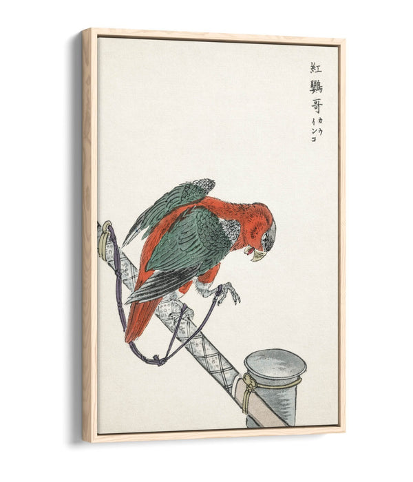 Canvas Wall Art - Macaw Float Effect Canvas Art Print | Handmade UK