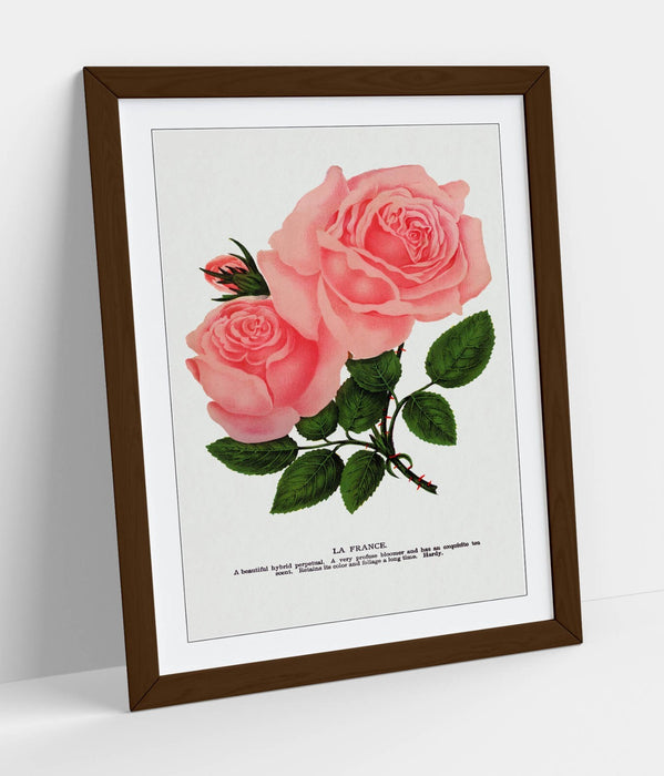 Framed Wall Art Poster - Pink Rose Print With La France Lithograph, Handmade Decor