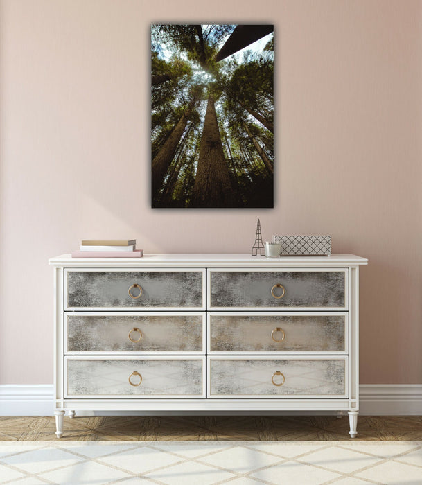 Canvas Wall Art | Forest Canvas Print With Deep Frame - Handmade UK Decor