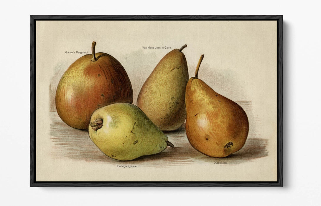 Canvas Wall Art | Handmade UK Canvas With 30mm Deep Frame & Scratch Resistant Premium Varnish