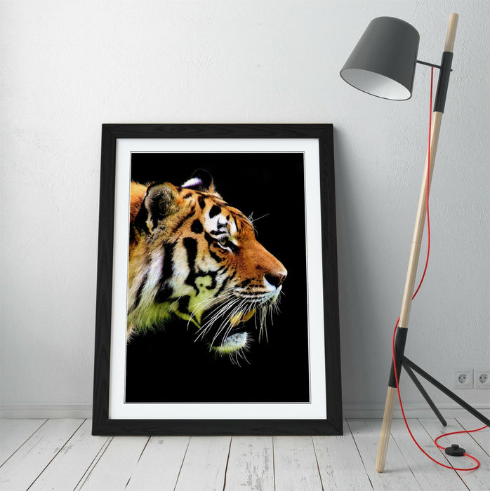 TIGER HEAD -FRAMED ART POSTER PICTURE PRINT ARTWORK- BLACK