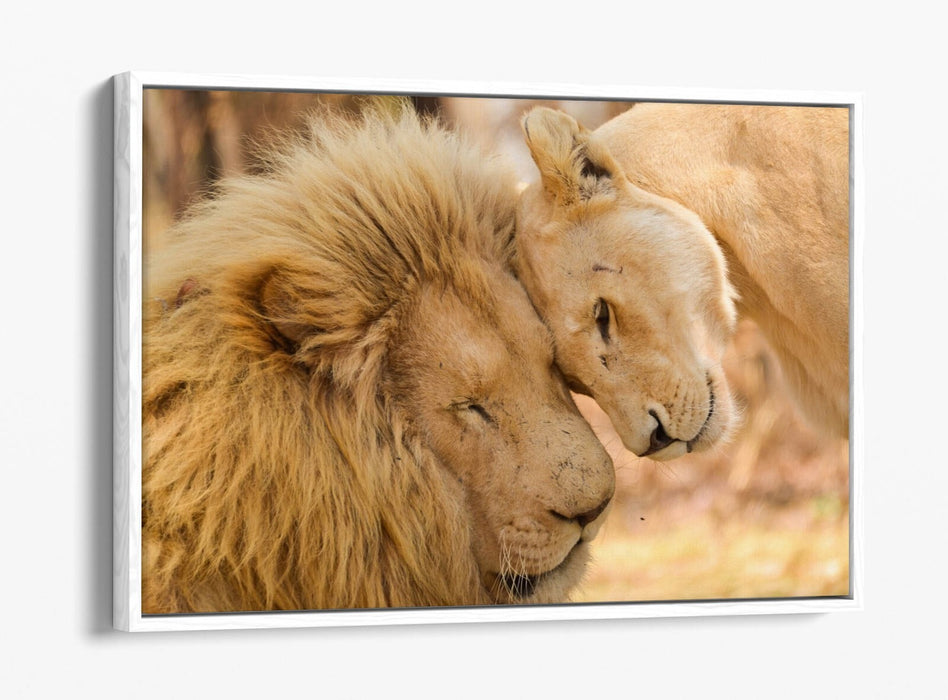 Canvas Wall Art - Lions In Love Float Effect Handmade Bedroom Decor Print