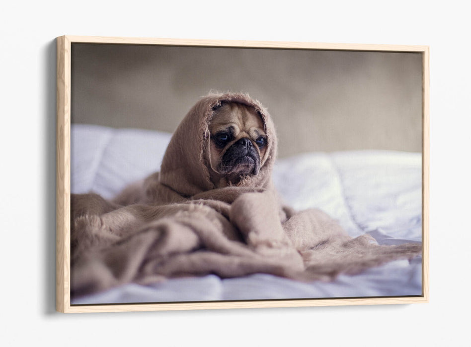 Pug Dog Canvas Art - Cute Bedroom Wall Decor | Handmade Float Effect Print
