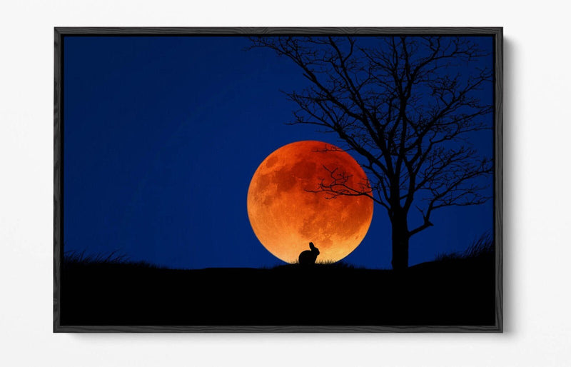 Canvas Wall Art – Rabbit Silhouette Moonlit Night | Premium Float Frame Print